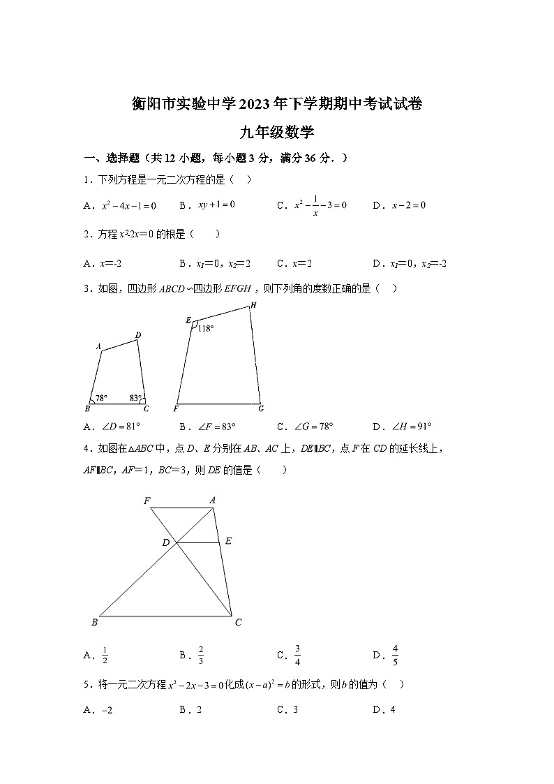 湖南省衡阳市实验中学2023-2024学年九年级上学期期中数学试题（含解析）01