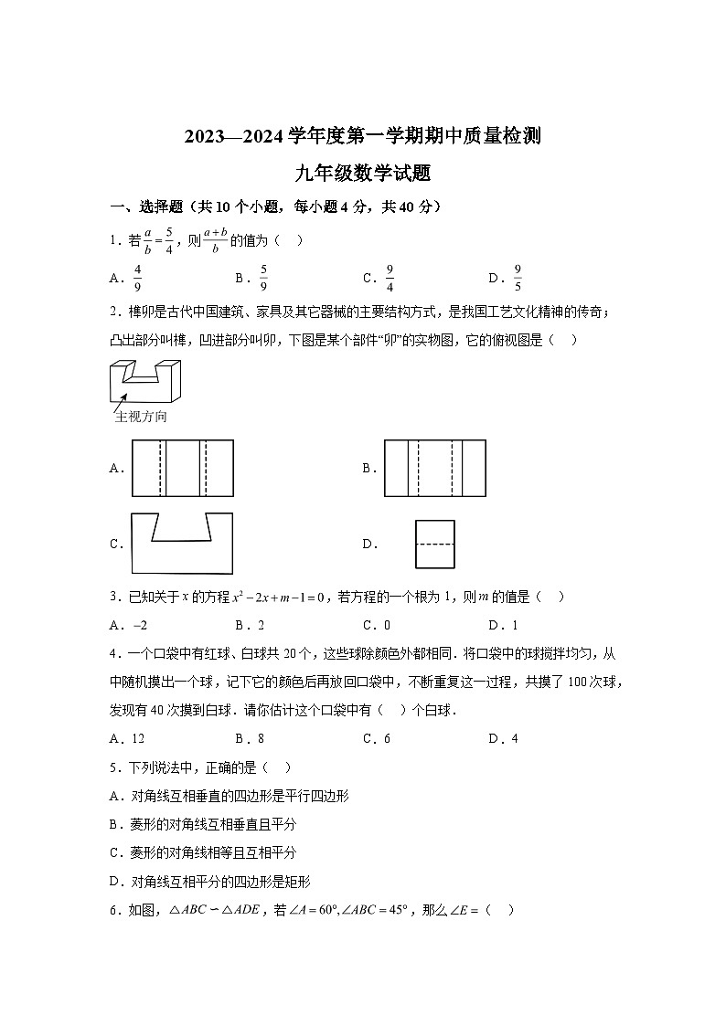 山东省济南市东南片区2023-2024学年九年级上学期期中考试数学试题（含解析）第1页