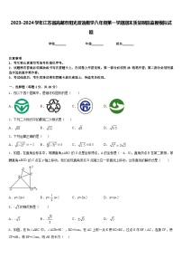 2023-2024学年江苏省高邮市阳光双语数学八年级第一学期期末质量跟踪监视模拟试题含答案