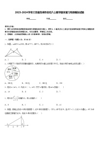 2023-2024学年江苏省苏州市名校八上数学期末复习检测模拟试题含答案