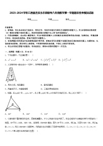 2023-2024学年江西省吉安永丰县联考八年级数学第一学期期末统考模拟试题含答案