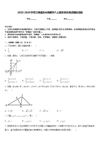 2023-2024学年江西省吉水县数学八上期末综合测试模拟试题含答案