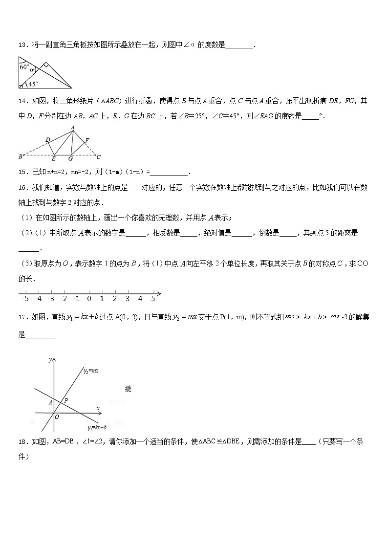 2023-2024学年江西省宜春实验中学八上数学期末质量跟踪监视试题含答案第3页