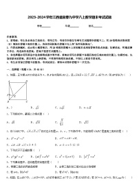 2023-2024学年江西省宜春九中学八上数学期末考试试题含答案