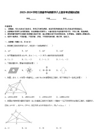 2023-2024学年江西省寻乌县数学八上期末考试模拟试题含答案