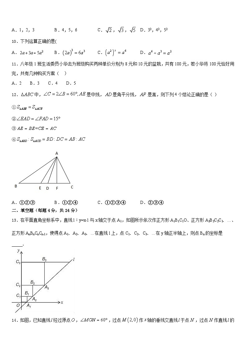 2023-2024学年河北省保定市二中学分校八上数学期末复习检测模拟试题含答案03