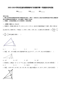 2023-2024学年河北省沧州青县联考八年级数学第一学期期末统考试题含答案