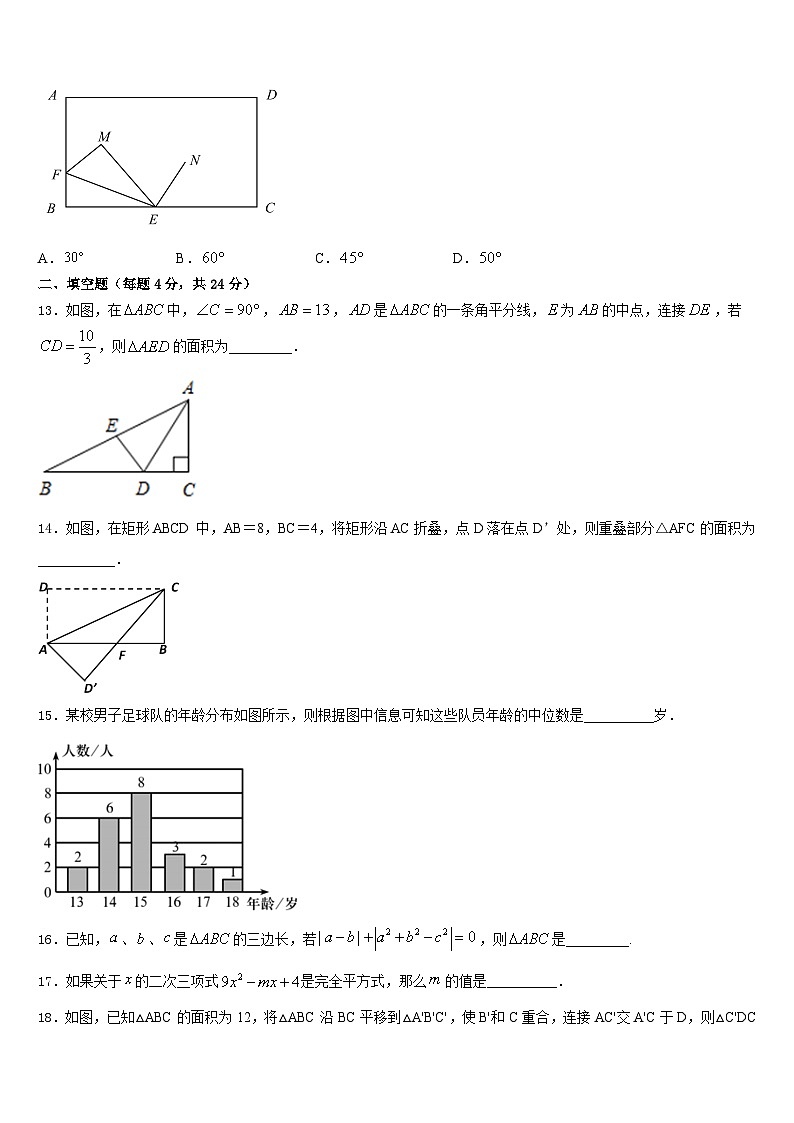 2023-2024学年河北省衡水市故城聚龙中学八上数学期末学业质量监测试题含答案第3页