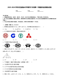 2023-2024学年河北省衡水中学数学八年级第一学期期末监测模拟试题含答案