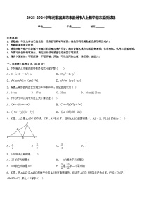 2023-2024学年河北省廊坊市霸州市八上数学期末监测试题含答案