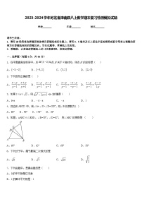 2023-2024学年河北省滦南县八上数学期末复习检测模拟试题含答案