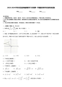 2023-2024学年河北省滦南县数学八年级第一学期期末教学质量检测试题含答案