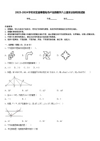 2023-2024学年河北省秦皇岛市卢龙县数学八上期末达标检测试题含答案