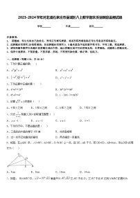 2023-2024学年河北省石家庄市藁城区八上数学期末质量跟踪监视试题含答案