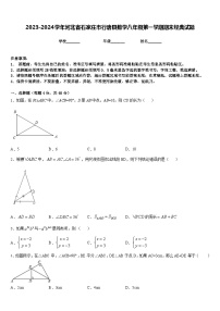 2023-2024学年河北省石家庄市行唐县数学八年级第一学期期末经典试题含答案