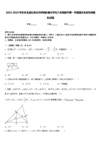 2023-2024学年河北省石家庄市桥西区部分学校八年级数学第一学期期末质量检测模拟试题含答案