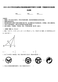 2023-2024学年河北省邢台市临城县临城镇中学数学八年级第一学期期末综合测试模拟试题含答案