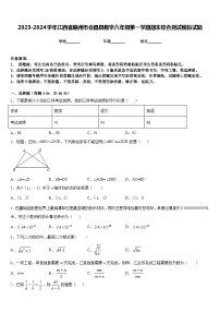 2023-2024学年江西省赣州市会昌县数学八年级第一学期期末综合测试模拟试题含答案