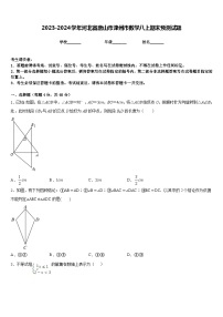 2023-2024学年河北省唐山市滦州市数学八上期末预测试题含答案