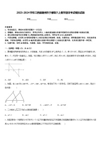 2023-2024学年江西省赣州市于都县八上数学期末考试模拟试题含答案