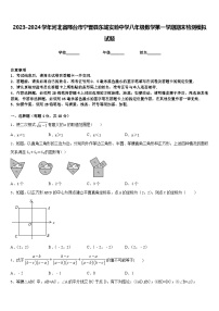 2023-2024学年河北省邢台市宁晋县东城实验中学八年级数学第一学期期末检测模拟试题含答案