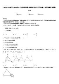 2023-2024学年河南省宝丰县杨庄镇第一初级中学数学八年级第一学期期末检测模拟试题含答案