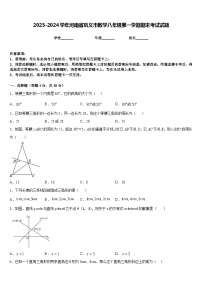 2023-2024学年河南省巩义市数学八年级第一学期期末考试试题含答案