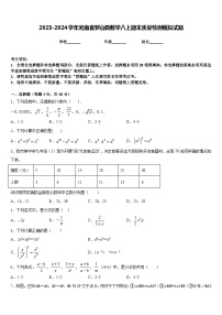 2023-2024学年河南省罗山县数学八上期末质量检测模拟试题含答案