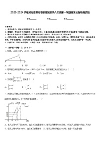 2023-2024学年河南省漯河市郾城区数学八年级第一学期期末达标检测试题含答案