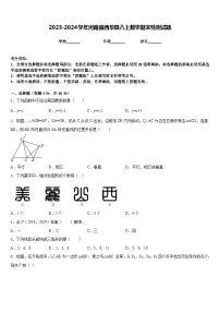 2023-2024学年河南省西华县八上数学期末检测试题含答案