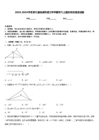 2023-2024学年浙江省杭州市滨兰中学数学八上期末综合测试试题含答案