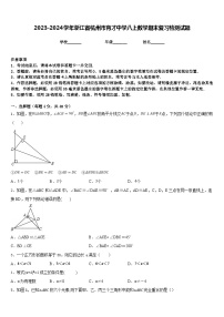 2023-2024学年浙江省杭州市育才中学八上数学期末复习检测试题含答案