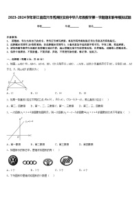 2023-2024学年浙江省嘉兴市秀洲区实验中学八年级数学第一学期期末联考模拟试题含答案