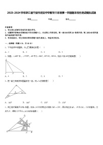 2023-2024学年浙江省宁波市效实中学数学八年级第一学期期末综合测试模拟试题含答案