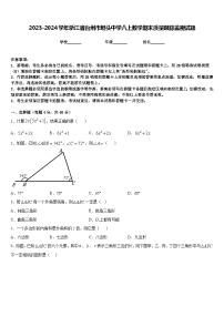 2023-2024学年浙江省台州市坦头中学八上数学期末质量跟踪监视试题含答案