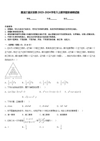 黑龙江省庆安县2023-2024学年八上数学期末调研试题含答案