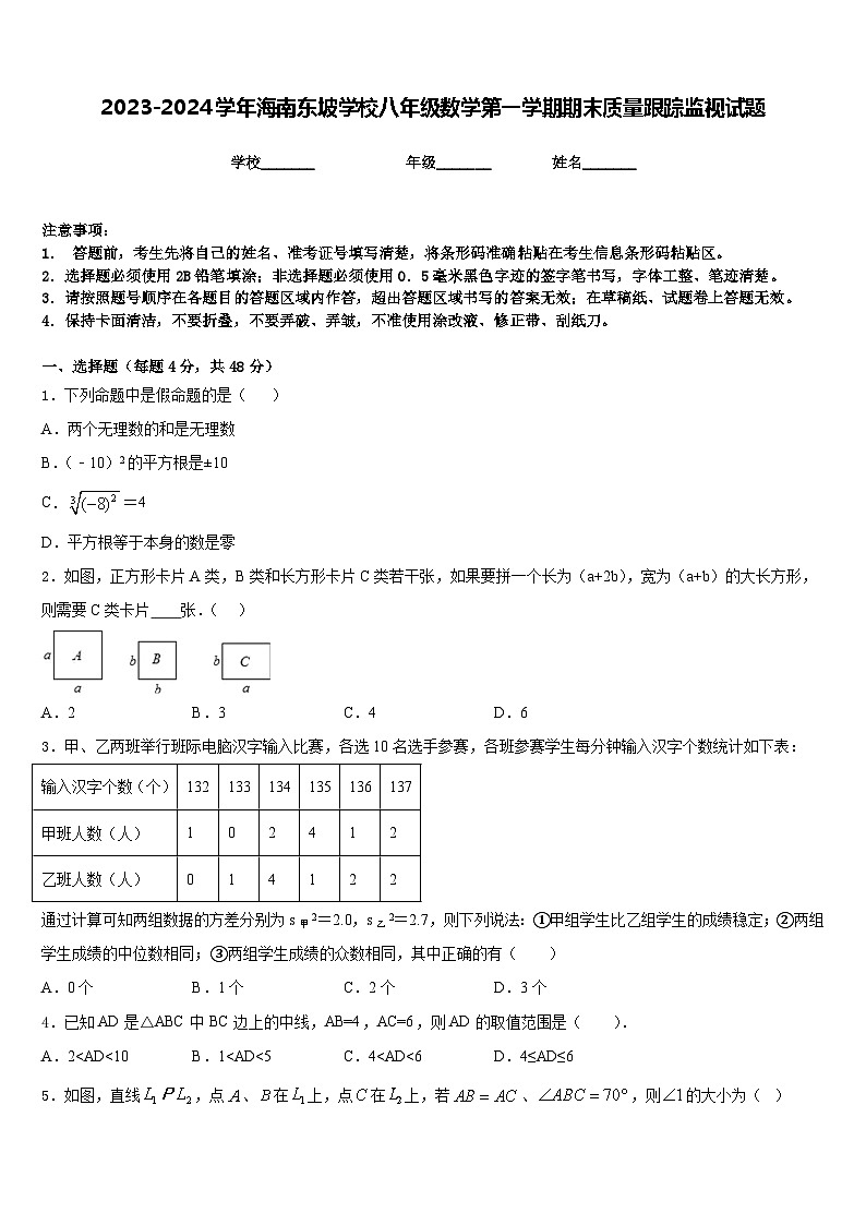 2023-2024学年海南东坡学校八年级数学第一学期期末质量跟踪监视试题含答案01