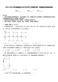 2023-2024学年海南省东方市八所中学八年级数学第一学期期末联考模拟试题含答案