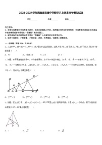 2023-2024学年海南省农垦中学数学八上期末统考模拟试题含答案