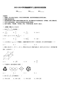 2023-2024学年海南省数学八上期末综合测试试题含答案