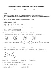 2023-2024学年海南市重点中学数学八上期末复习检测模拟试题含答案