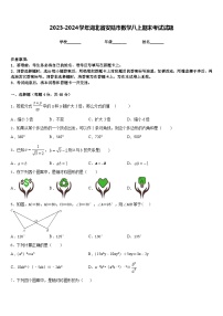 2023-2024学年湖北省安陆市数学八上期末考试试题含答案