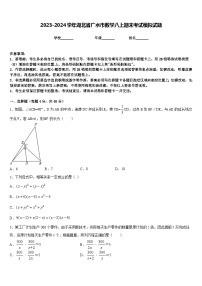 2023-2024学年湖北省广水市数学八上期末考试模拟试题含答案