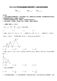 2023-2024学年湖北省宜昌市当阳市数学八上期末质量检测试题含答案