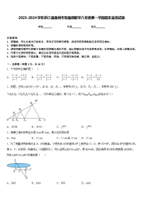 2023-2024学年浙江省温州市苍南县数学八年级第一学期期末监测试题含答案