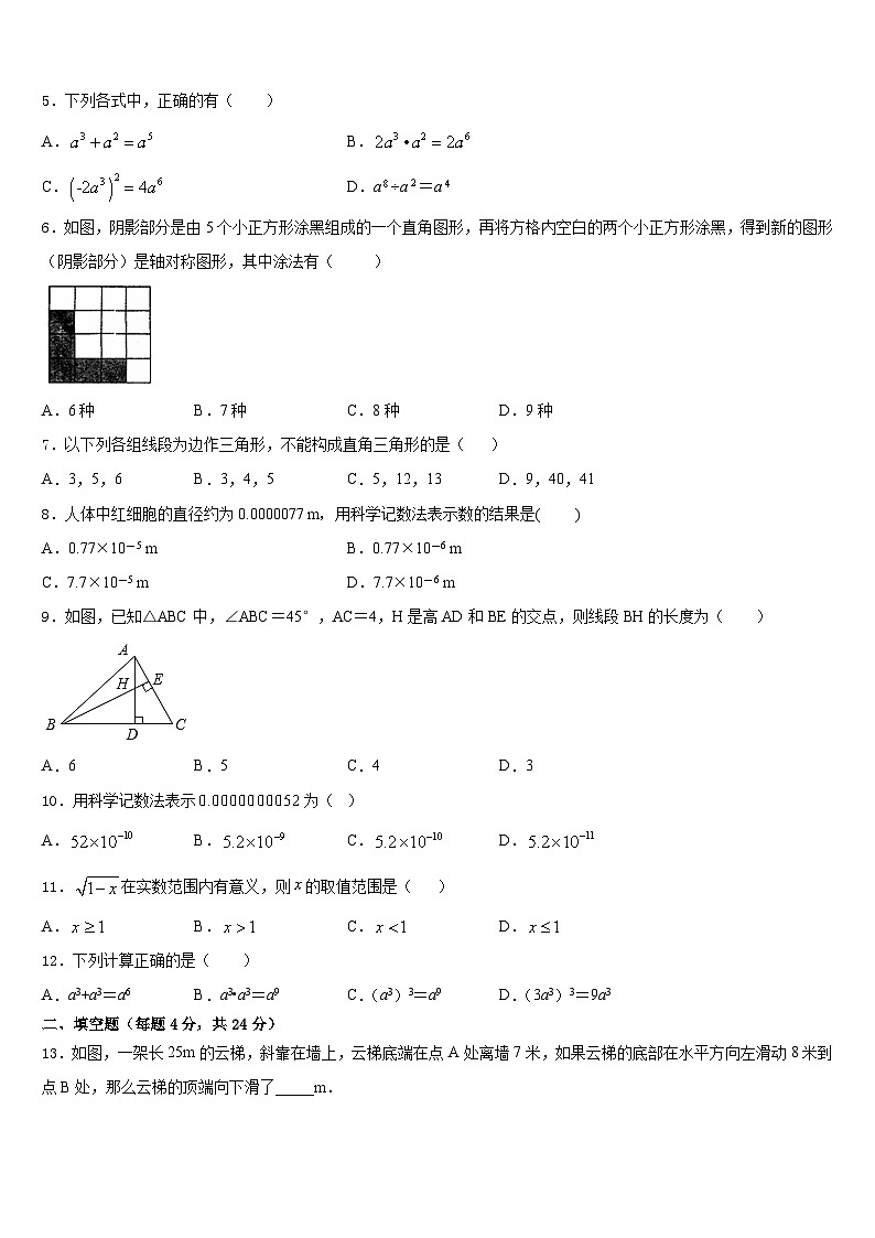 2023-2024学年浙江省温州市苍南县数学八年级第一学期期末监测试题含答案第2页