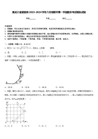 黑龙江省望奎县2023-2024学年八年级数学第一学期期末考试模拟试题含答案