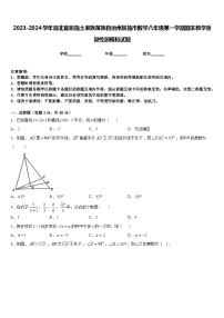 2023-2024学年湖北省恩施土家族苗族自治州恩施市数学八年级第一学期期末教学质量检测模拟试题含答案