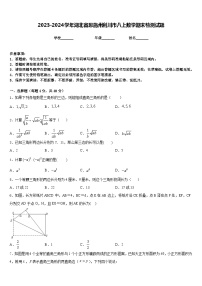 2023-2024学年湖北省恩施州利川市八上数学期末检测试题含答案