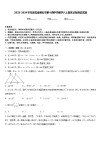 2023-2024学年湖北省黄石市第十四中学数学八上期末达标测试试题含答案